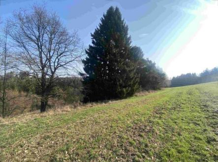 Prodej - pozemek, ostatní, 3 163 m²