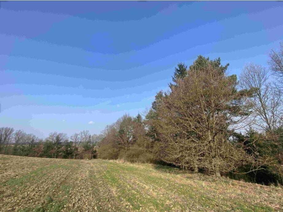 DRAŽBA pozemků Kostelec