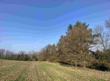 Prodej - pozemek, ostatní, 3 163 m²