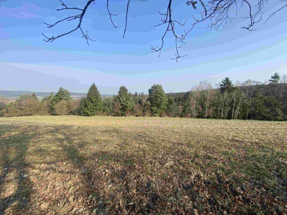 DRAŽBA pozemků Kostelec