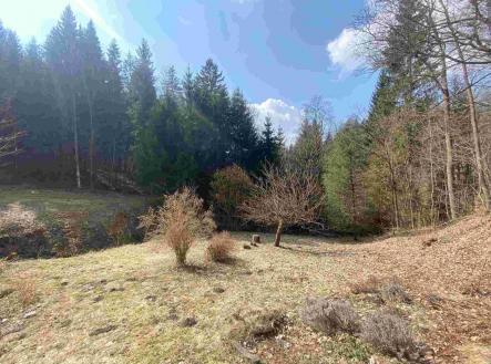 Prodej - pozemek, ostatní, 858 m²