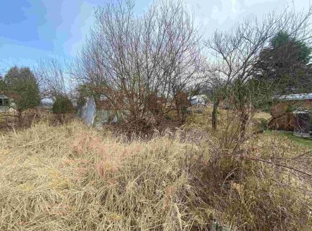 Prodej - pozemek, zahrada, 194 m²