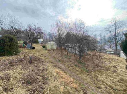 Prodej - pozemek, zahrada, 194 m²