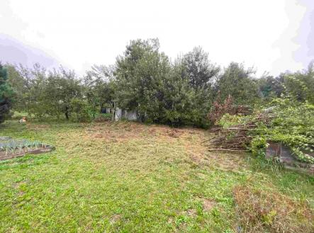 Prodej - pozemek, zahrada, 194 m²