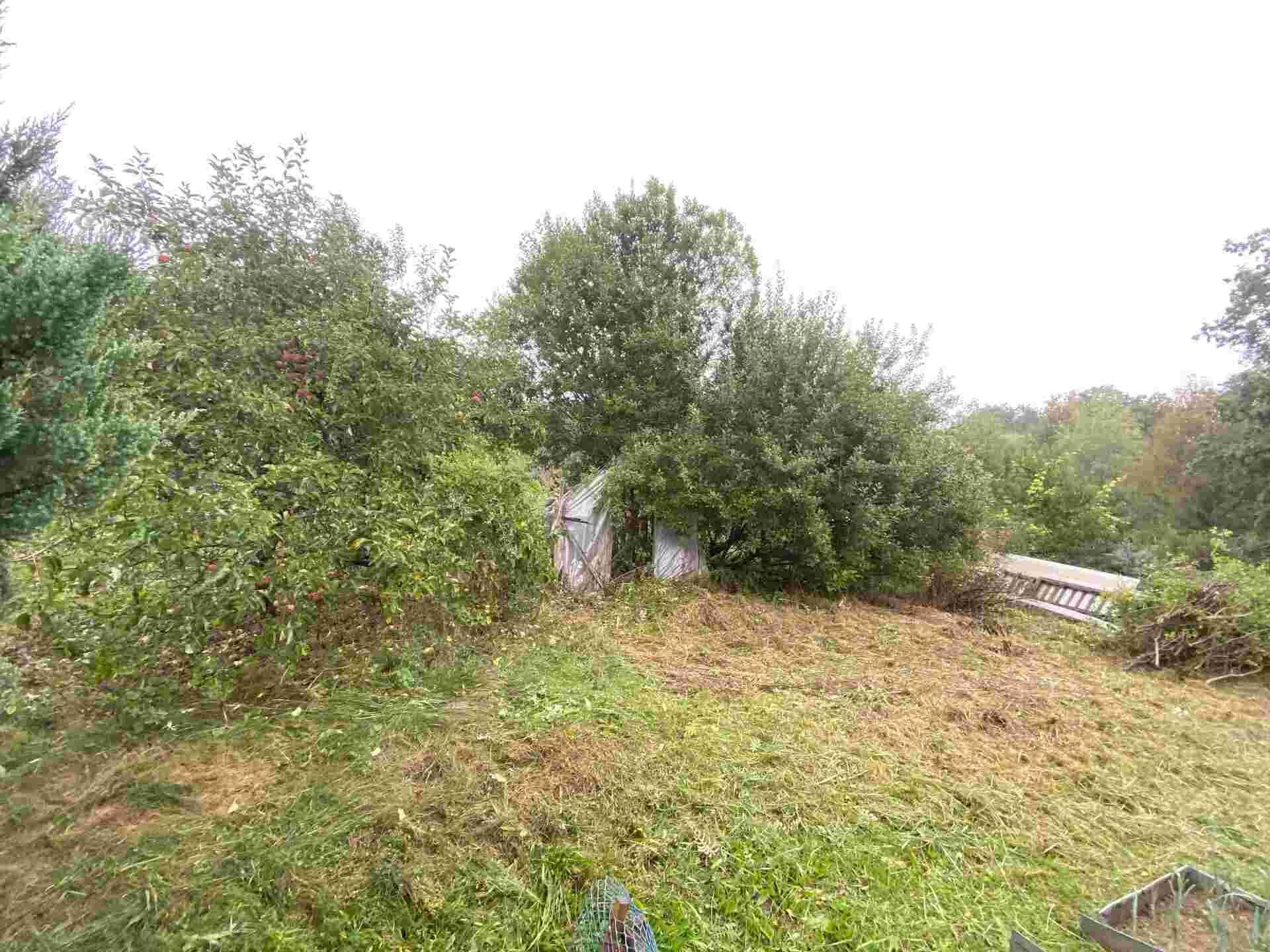 Dražba pozemků Vlčice u Střížovic