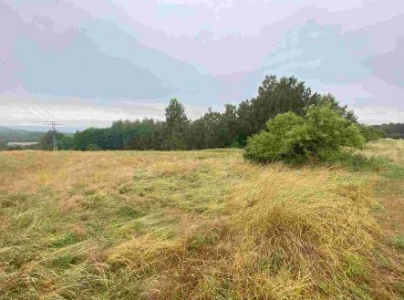 Prodej - pozemek, zemědělská půda, 49 321 m²