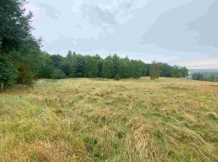 Prodej - pozemek, zemědělská půda, 49 321 m²