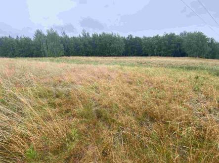 Prodej - pozemek, zemědělská půda, 49 321 m²