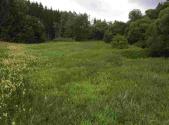 Prodej - pozemek, zemědělská půda, 22 334 m²