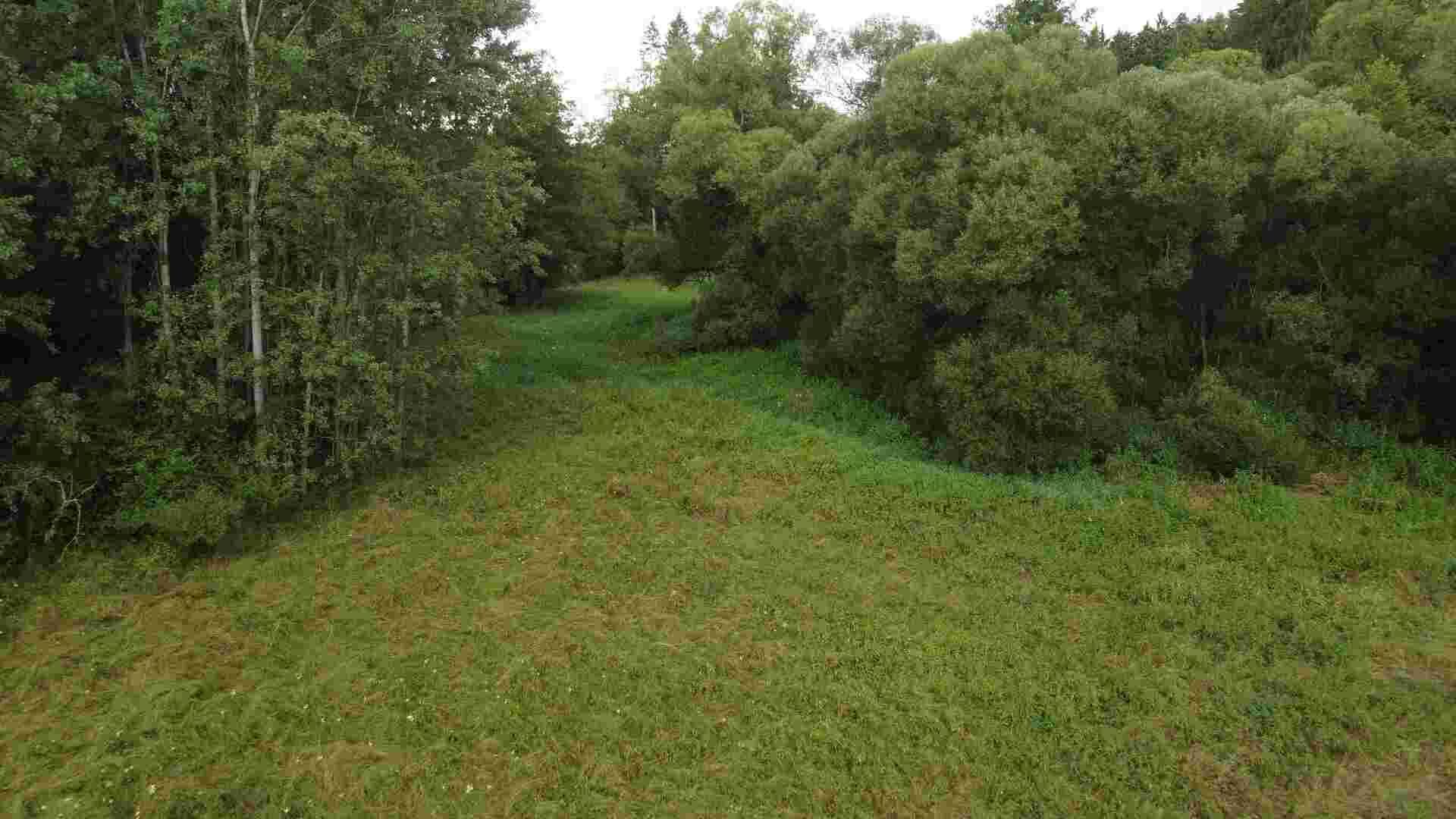 Prodej pozemku Dobronice u Chýnova