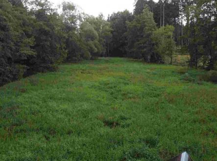 Prodej - pozemek, zemědělská půda, 22 334 m²