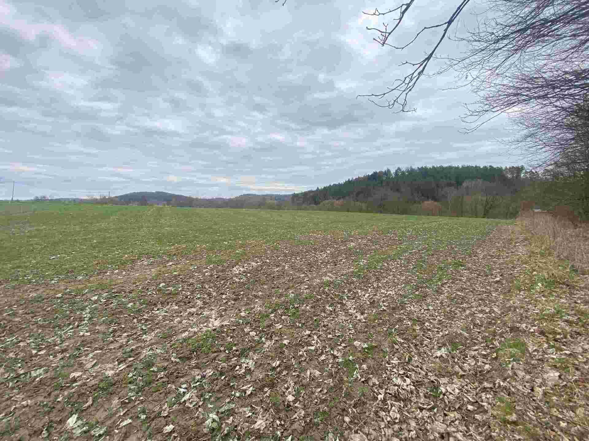 prodej pozemků Žinkovy