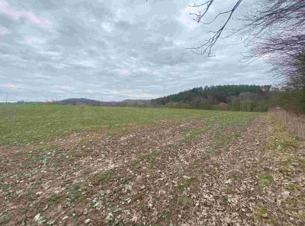 Prodej - pozemek, ostatní, 4 837 m²