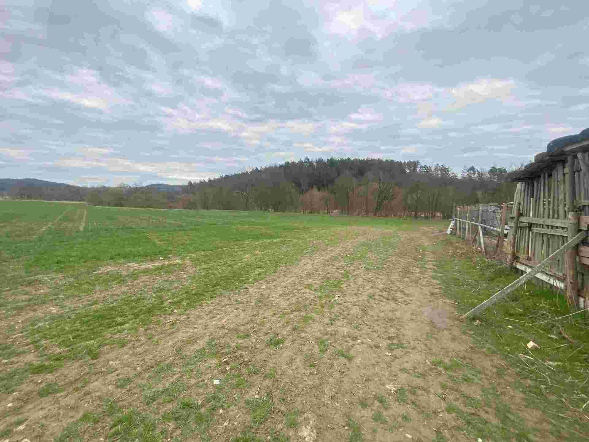 prodej pozemků Žinkovy