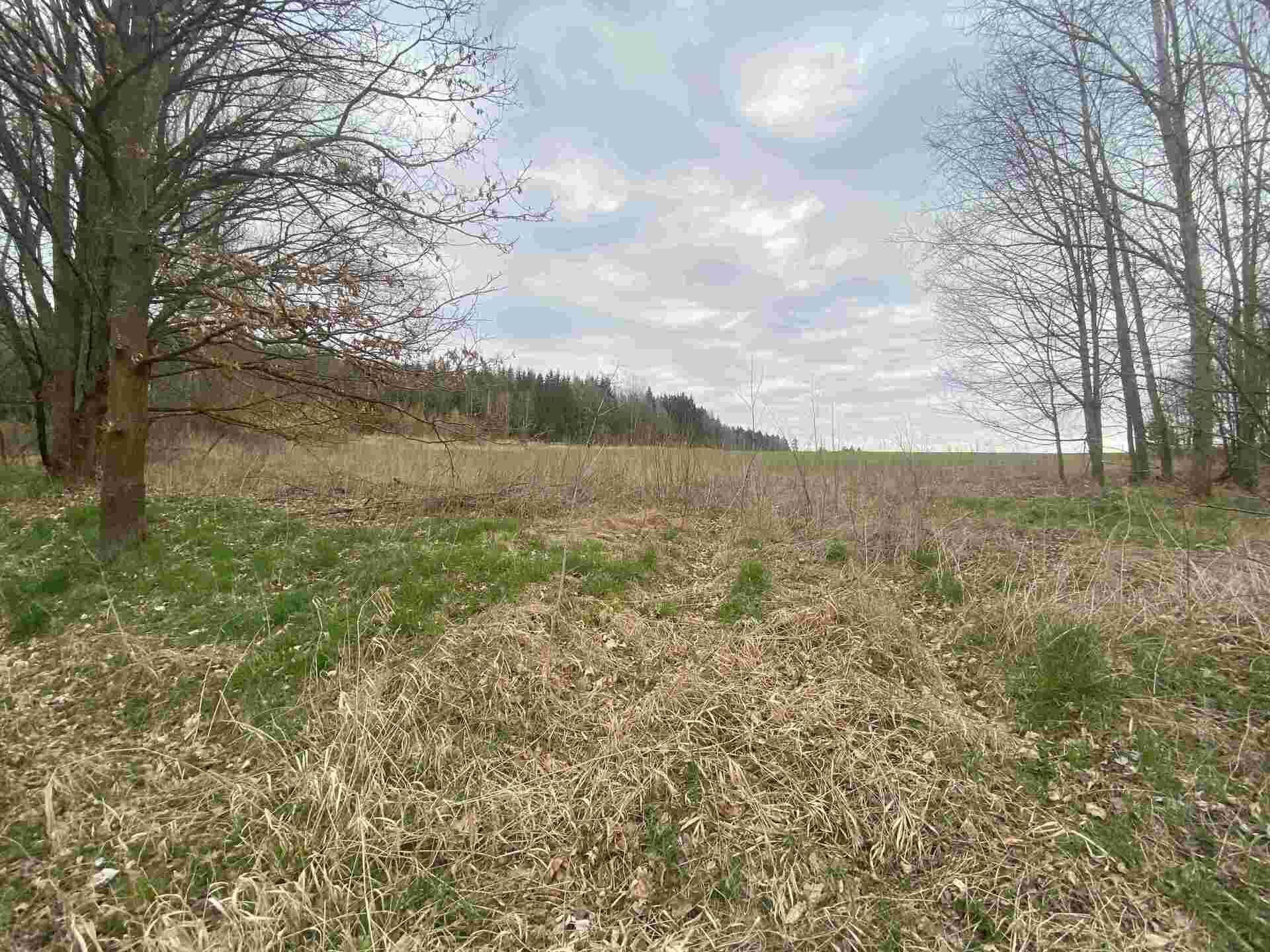 prodej pozemků k.ú. Žinkovy