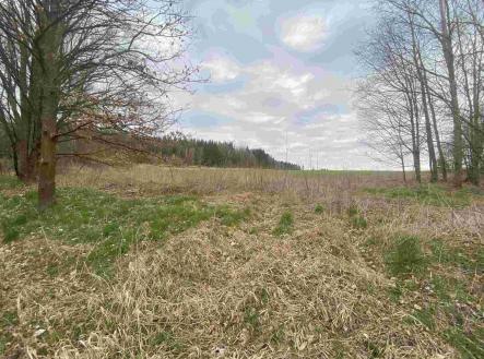 Prodej - pozemek, zemědělská půda, 14 439 m²
