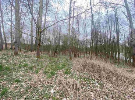 Prodej - pozemek, zemědělská půda, 14 439 m²