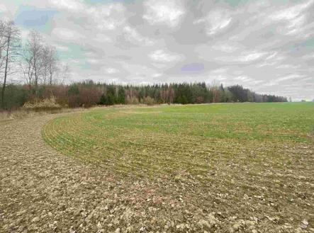 Prodej - pozemek, zemědělská půda, 14 439 m²