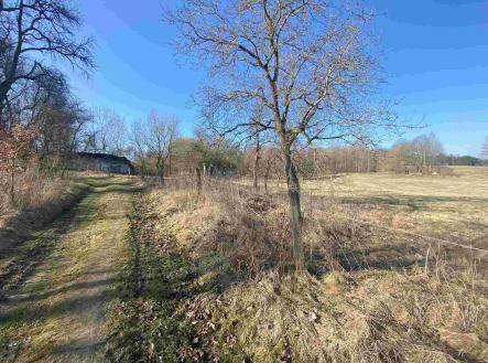 Prodej - pozemek pro bydlení, 11 107 m² obrázek