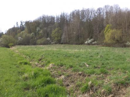 Prodej - pozemek, ostatní, 4 036 m²