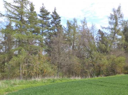 Prodej - pozemek, ostatní, 4 036 m²