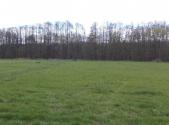 Prodej - pozemek, zemědělská půda, 45 730 m²