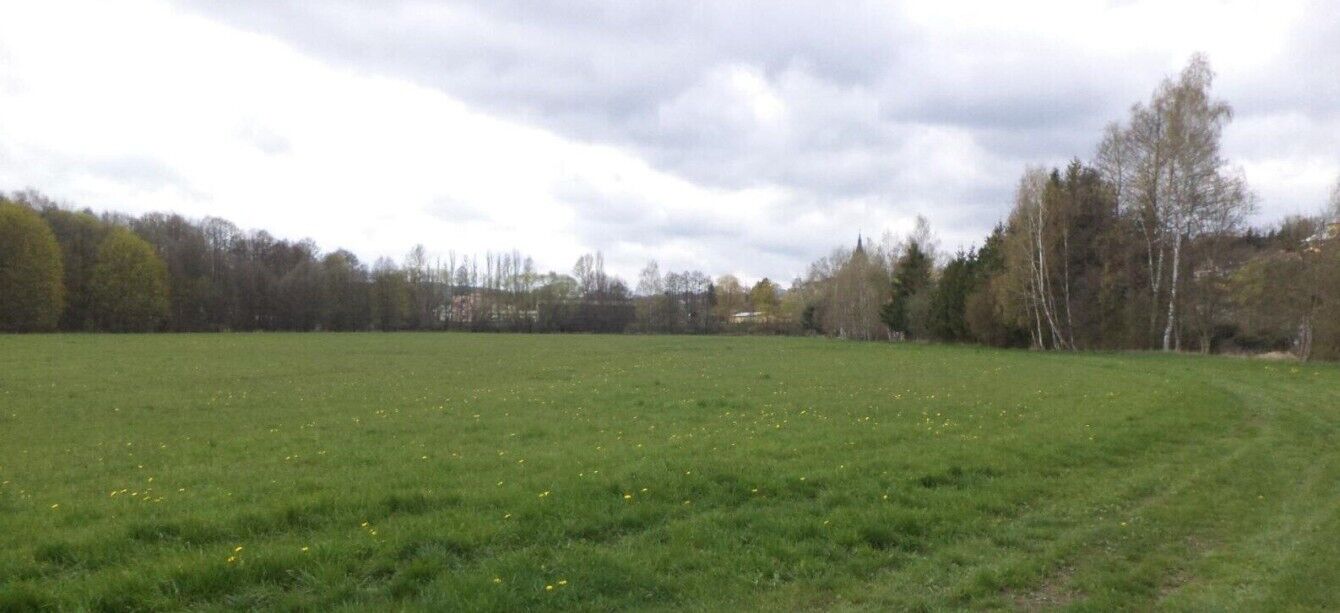 dražba pozemku k.ú. Tachov