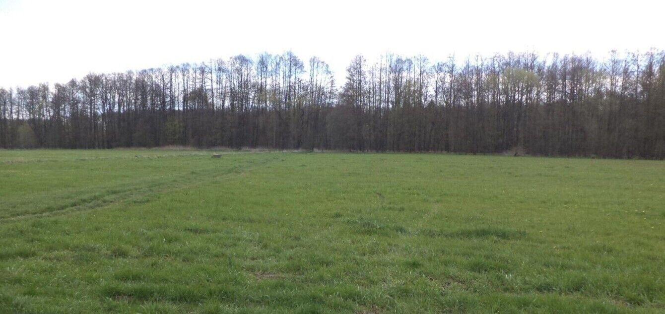 prodej pozemků k.ú. Tachov