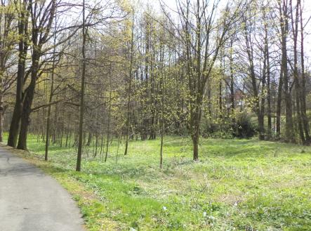 Prodej - pozemek, zemědělská půda, 55 666 m²