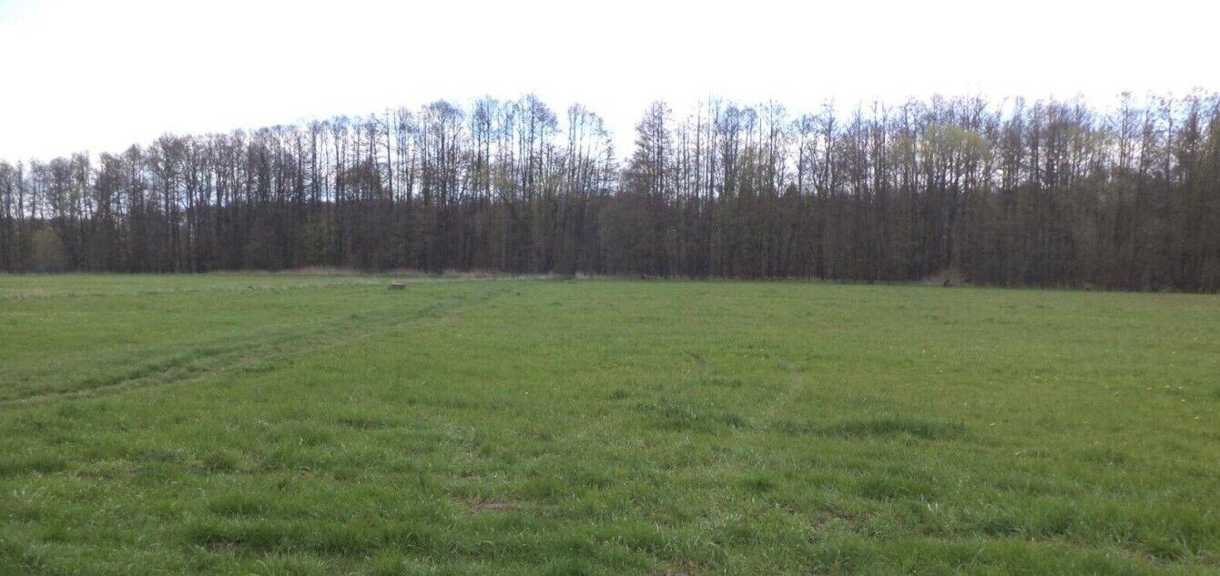 prodej pozemků k.ú. Tachov