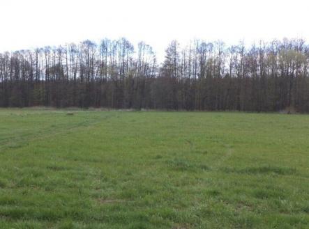 Prodej - pozemek, zemědělská půda, 55 666 m²