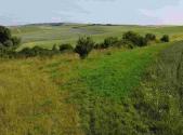 Prodej - pozemek, zemědělská půda, 3 134 m²