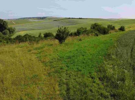 Prodej - pozemek, zemědělská půda, 3 134 m²