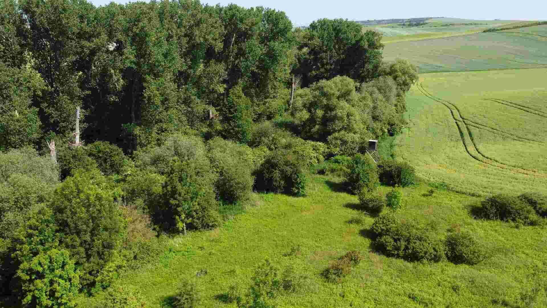 Prodej pozemků Bučovice