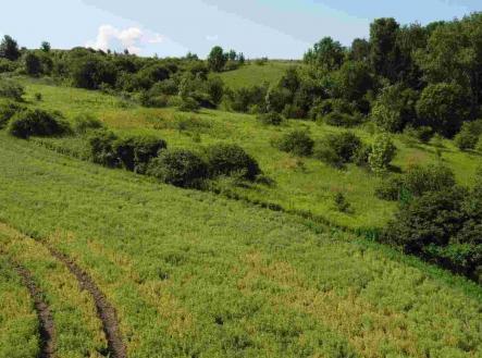 Prodej - pozemek, zemědělská půda, 3 134 m²