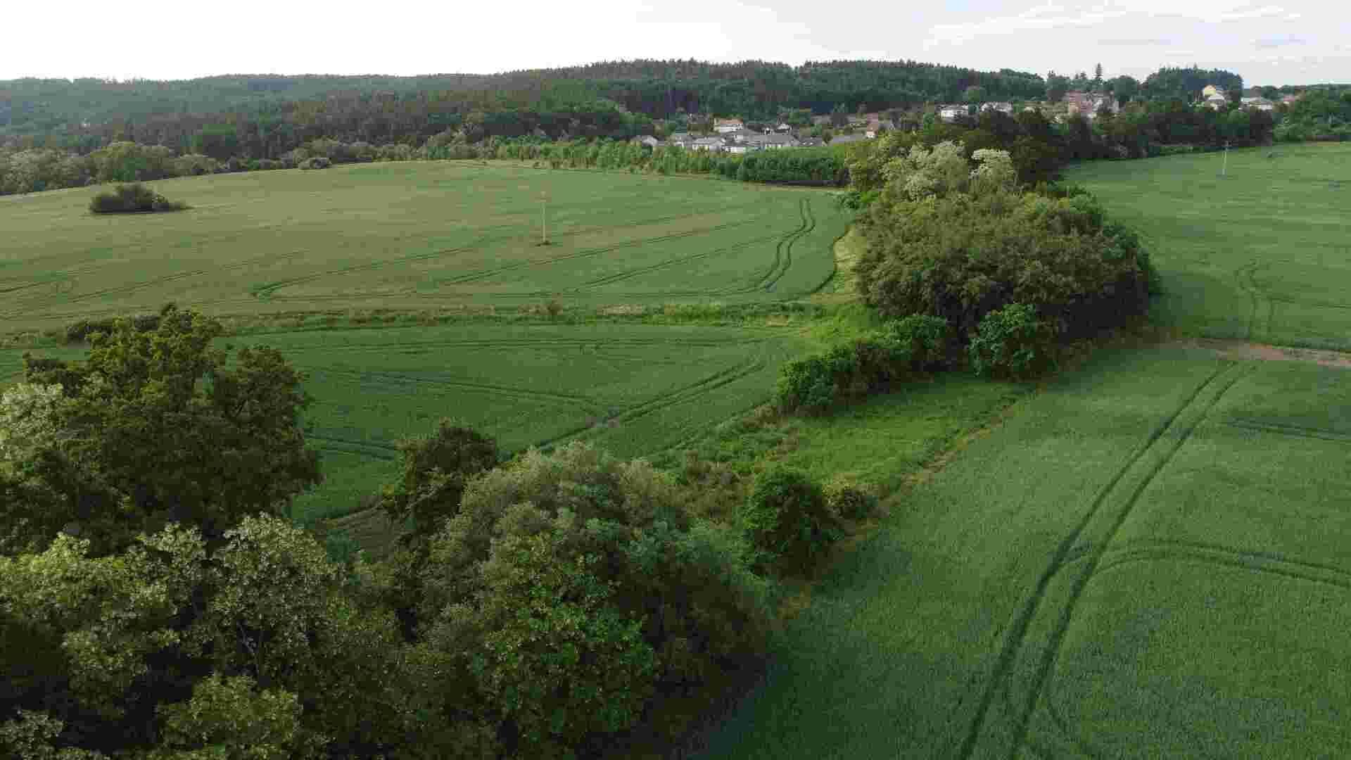 Prodej pozemků Petrovice u Rakovníka, část podíl 1/6