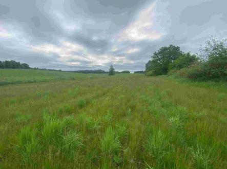 Prodej - pozemek, zemědělská půda, 3 483 m² obrázek