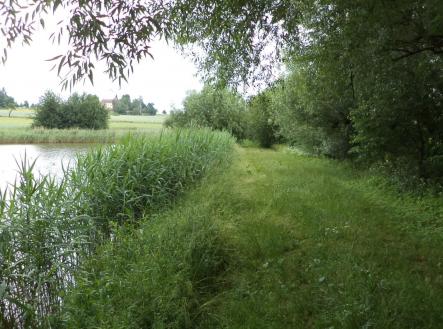 Prodej - pozemek, zemědělská půda, 5 516 m² obrázek