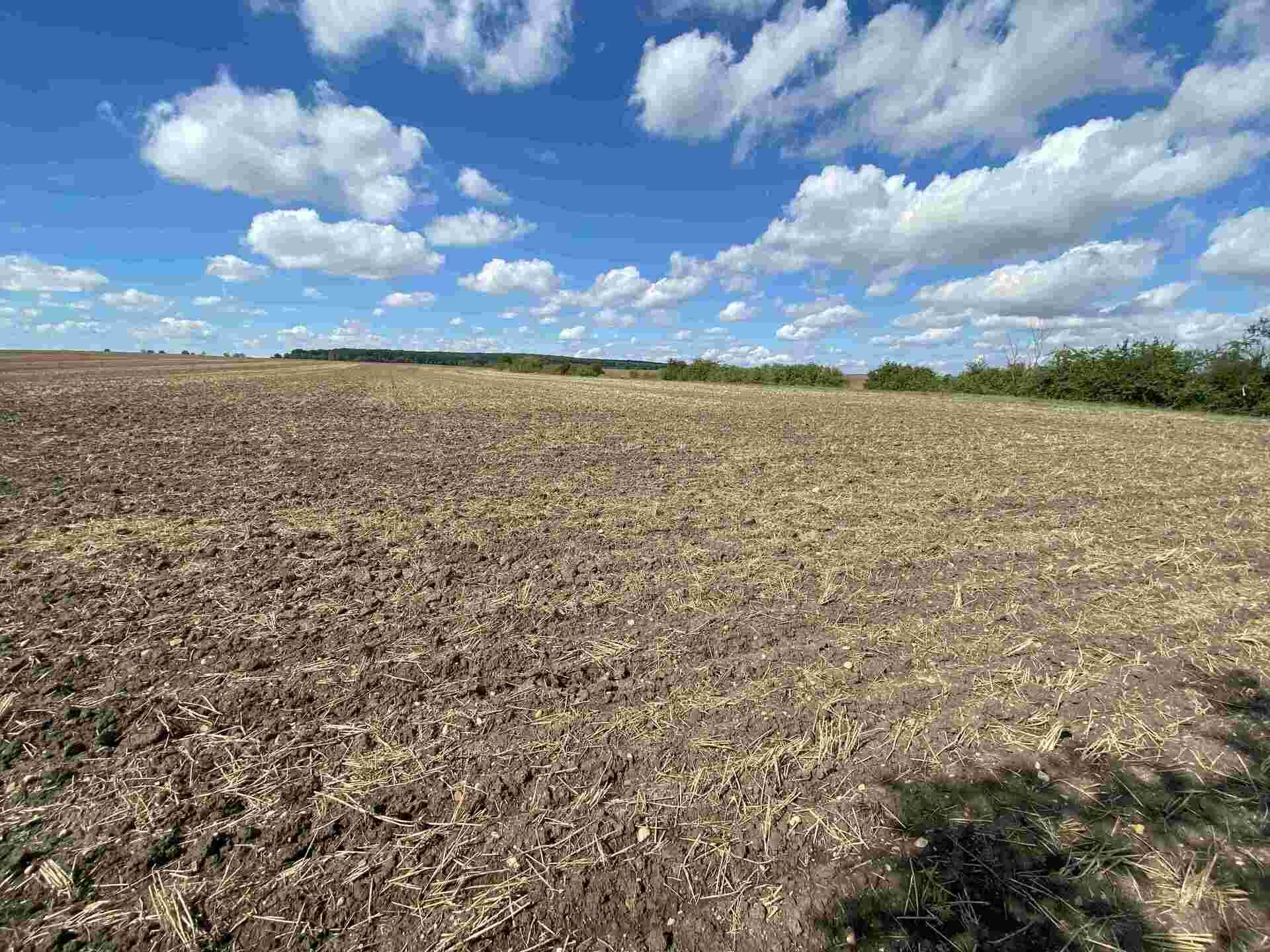 Prodej pozemků Zábědov