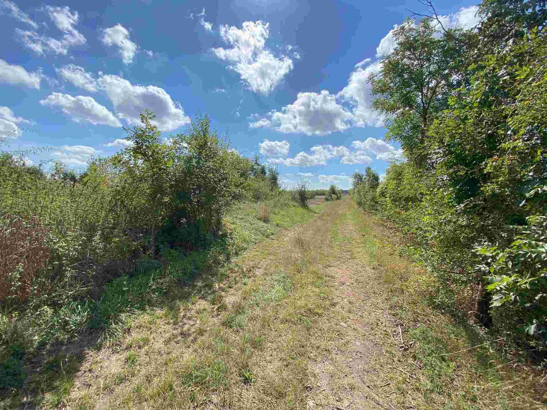 Prodej pozemků Zábědov