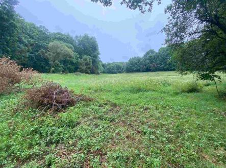 Prodej - pozemek, zemědělská půda, 14 289 m²
