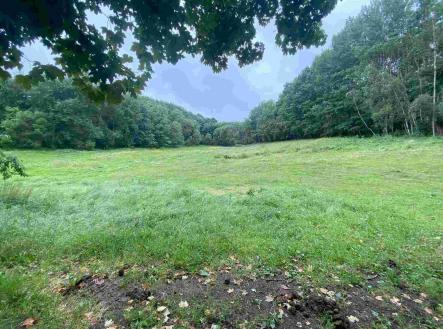 Prodej - pozemek, zemědělská půda, 11 289 m²