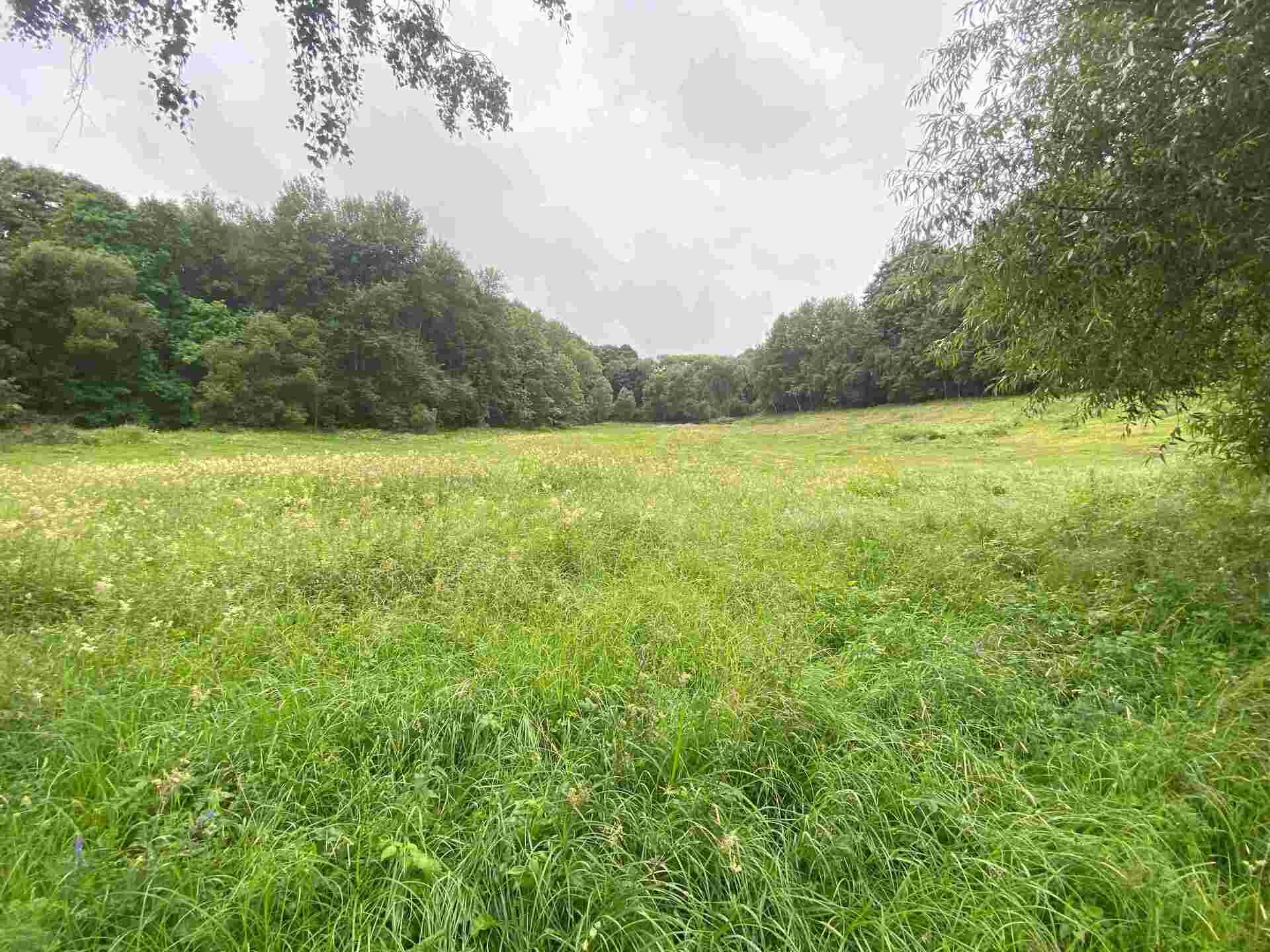 prodej pozemku k.ú. Vidžín