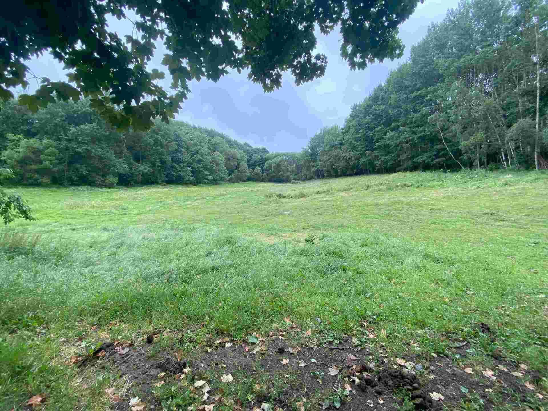 prodej pozemku k.ú. Vidžín