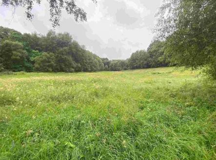 Prodej - pozemek, zemědělská půda, 11 289 m²