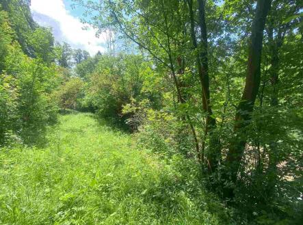 Prodej - pozemek, ostatní, 933 m²