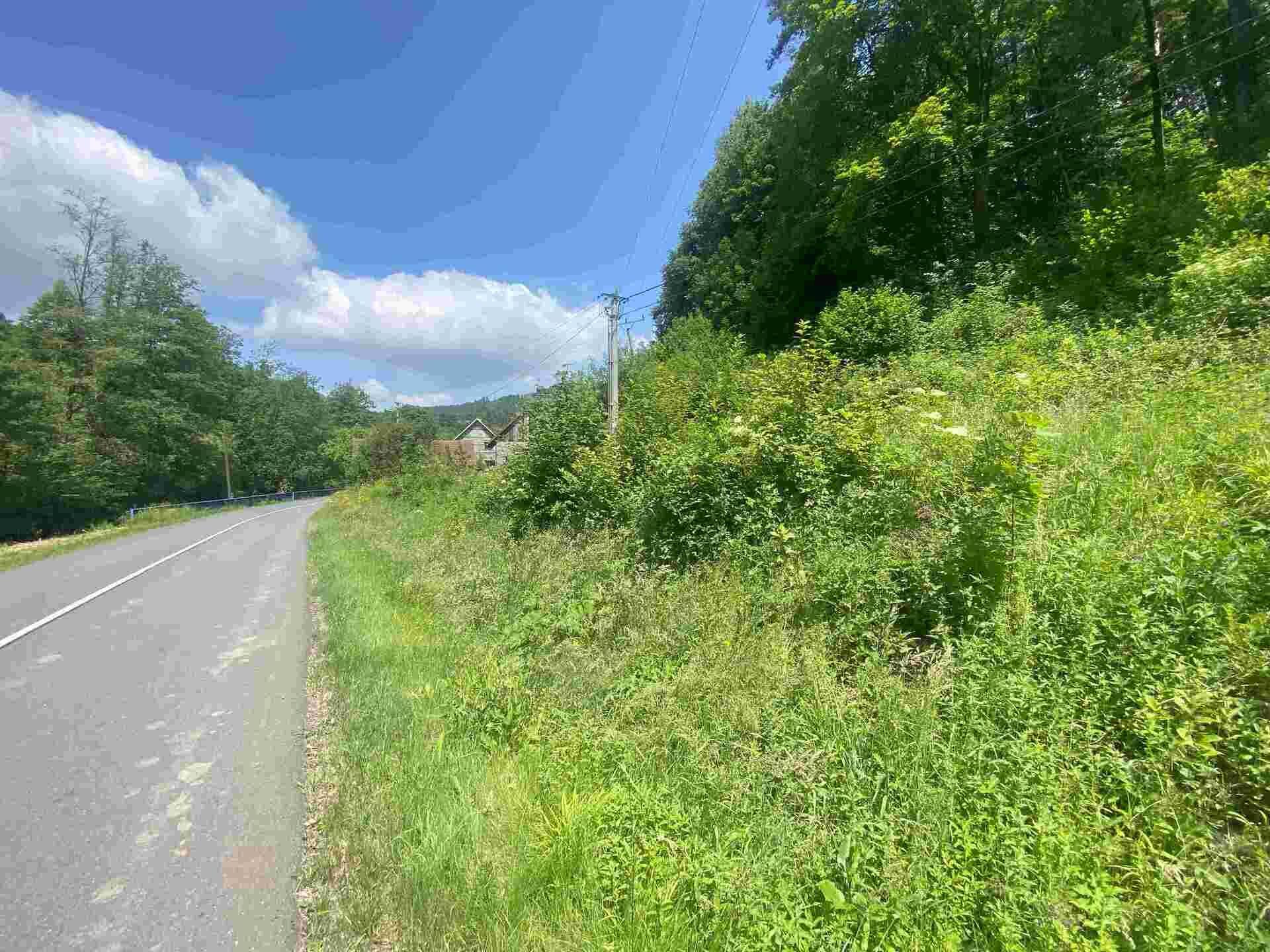 Dražba pozemku Malá Bystřice