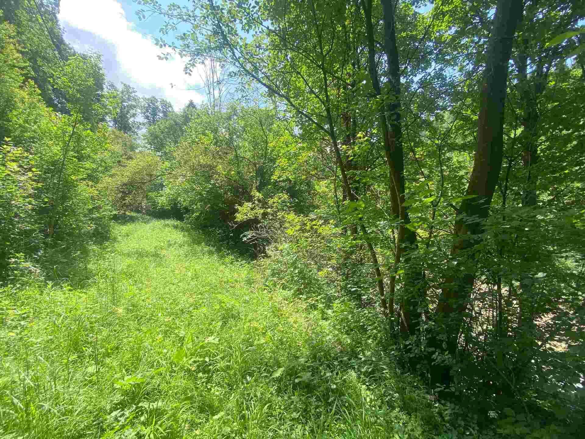 Dražba pozemku Malá Bystřice