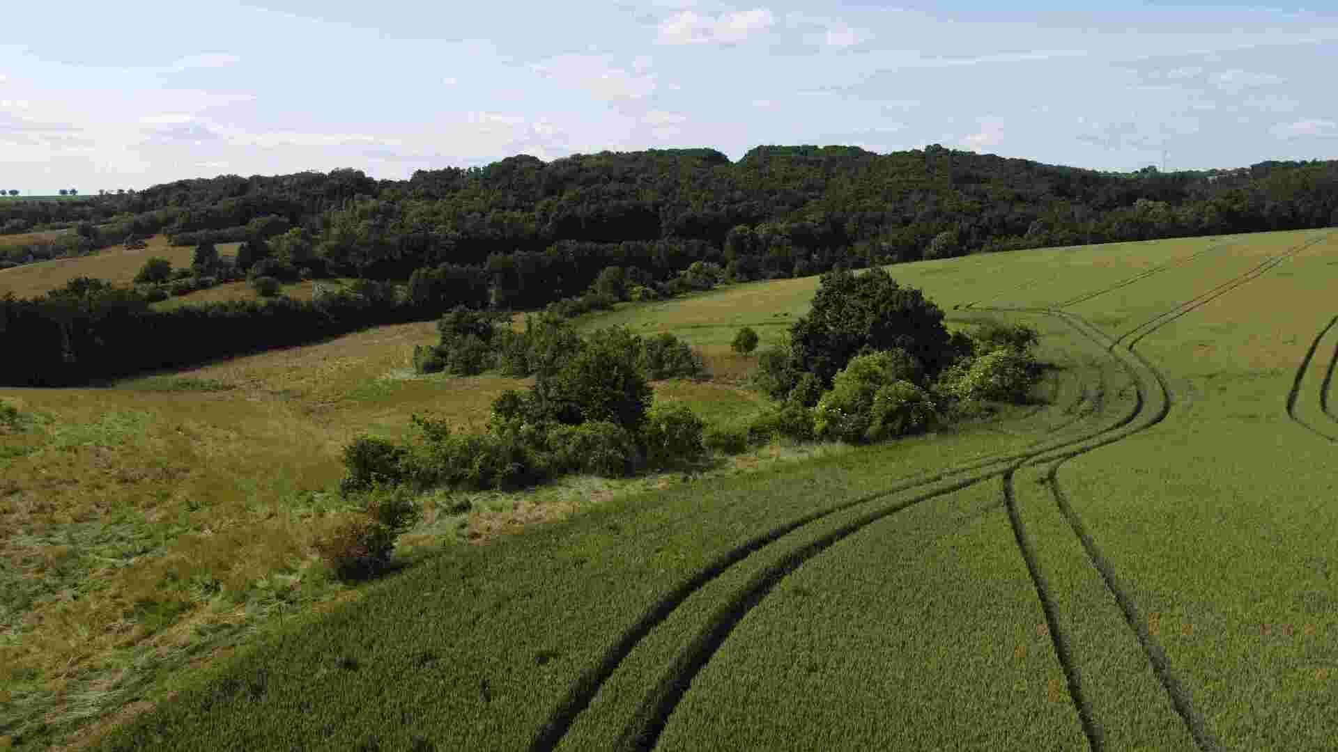 Prodej pozemků Dobrkovice