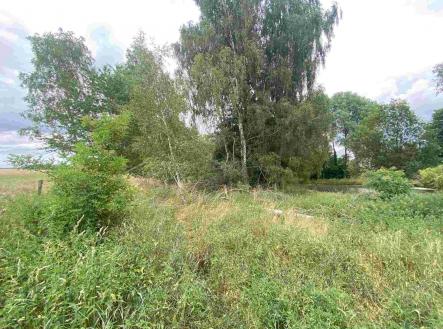 Prodej - pozemek, ostatní, 2 230 m²